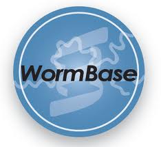 Wormbase logo